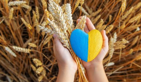 Ukraine Wheat Adobestock Lead
