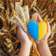 ukraine-wheat-AdobeStock-LEAD Ukraine Wheat Adobestock Lead