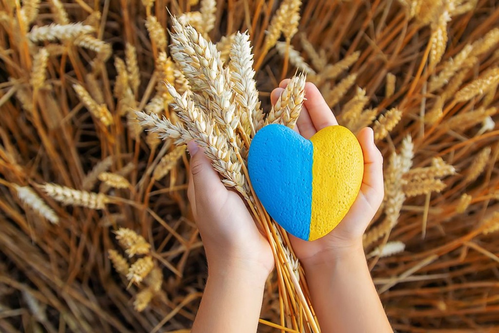 ukraine-wheat-AdobeStock-LEAD Ukraine Wheat Adobestock Lead