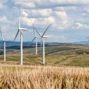 wind-energy-wind-farm-wind-turbines-stockpack-pixabay.jpg wind energy, wind farm, wind turbines