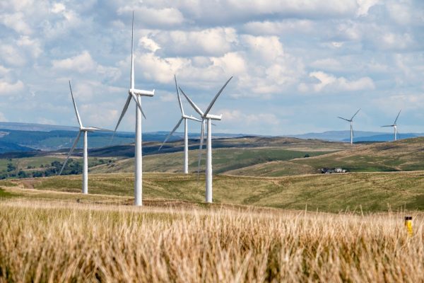 wind energy, wind farm, wind turbines