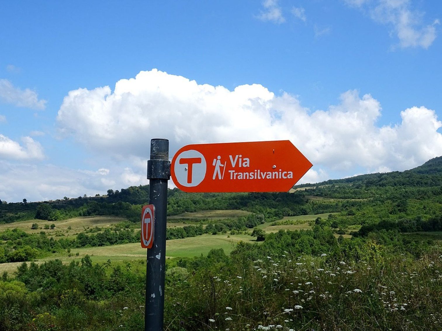 Via Transilvanica Marking (1)