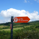 Via Transilvanica Marking (1)