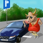 ai parcat ca un bou Ai Parcat Ca Un Bou
