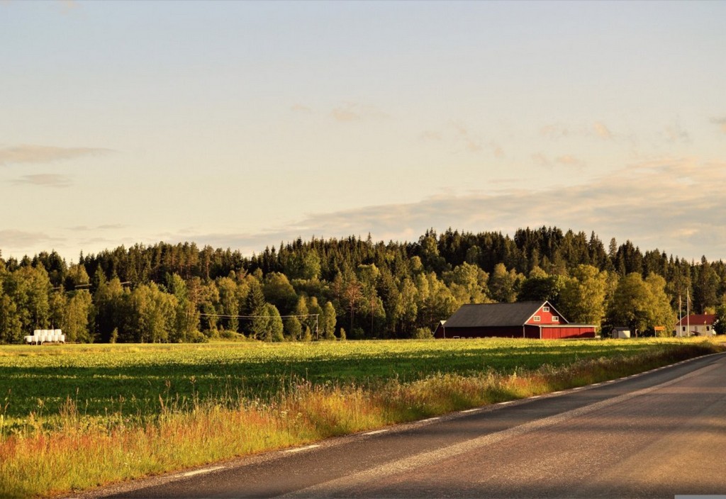 forest-road-summer-stockpack-pixabay.jpg forest, road, summer