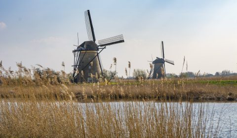 mill, windmill, travel