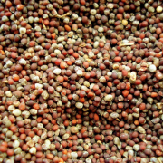 mustard-seed-spice-stockpack-pixabay.jpg mustard, seed, spice