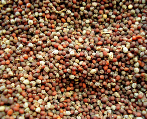 mustard-seed-spice-stockpack-pixabay.jpg mustard, seed, spice