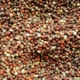 mustard-seed-spice-stockpack-pixabay.jpg mustard, seed, spice
