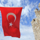turkey-flag-turks-stockpack-pixabay.jpg turkey, flag, turks