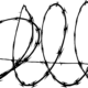 barbed-wire-barbwire-freedom-stockpack-pixabay.png barbed wire, barbwire, freedom