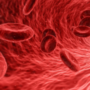 blood-cells-red-stockpack-pixabay.jpg blood, cells, red