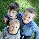 brothers-boys-children-stockpack-pixabay.jpg brothers, boys, children