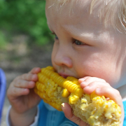 child-annual-corn-stockpack-pixabay.jpg child, annual, corn