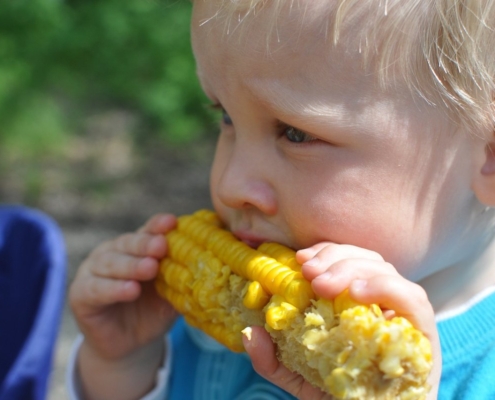 child-annual-corn-stockpack-pixabay.jpg child, annual, corn