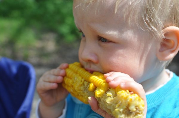 child, annual, corn