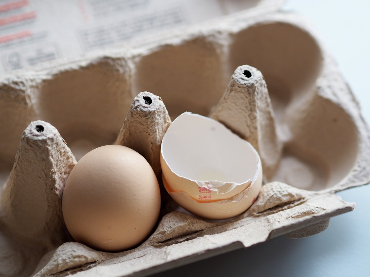 eggs-eggshell-pack-stockpack-pixabay.jpg eggs, eggshell, pack