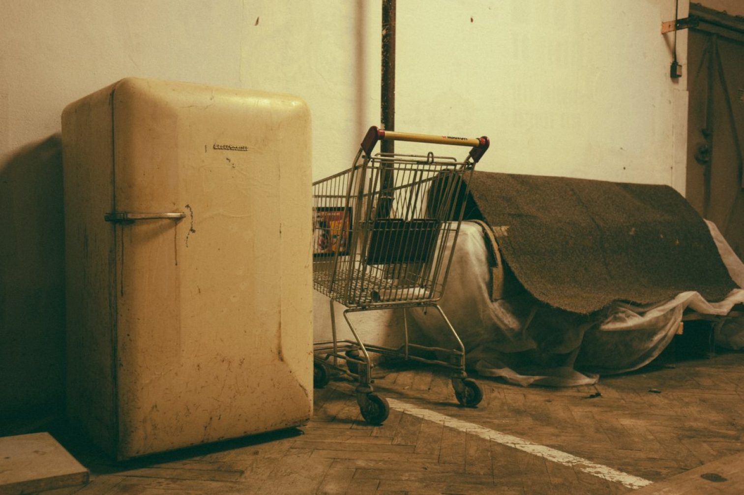 gray shopping cart near white wall