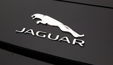 jaguar, logo, black