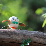 pokemon-forest-monster-stockpack-pixabay.jpg pokemon, forest, monster