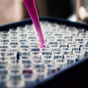 purple-pipette-stockpack-unsplash.jpg Purple Pipette