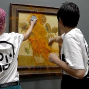 Supa De Rosii Vangogh