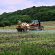tractor-field-spray-stockpack-pixabay.jpg tractor, field, spray