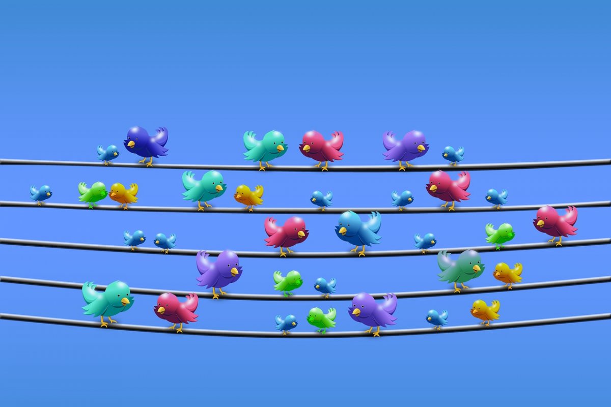 twitter-management-power-line-stockpack-pixabay.jpg twitter, management, power line