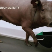Neuralink