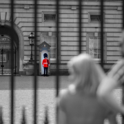 buckingham-palace-guard-stockpack-pixabay.jpg buckingham, palace, guard