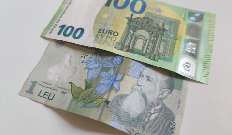 Bani Leu Euro Valuta Moneda Nationala Copyright Foto Contactati Www.afaceri.news