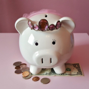 piggy-bank-pig-piggy-stockpack-pixabay.jpg piggy bank, pig, piggy