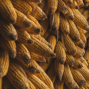 -stockpack-unsplash.jpg
