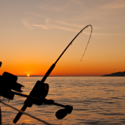 we-fished-right-until-the-sun-set-past-the-mountains-before-pulling-in-the-rods-and-heading-back-to-vancouver-for-dinner-stockpack-unsplash.jpg We fished right until the sun set past the mountains before pulling in the rods and heading back to Vancouver for dinner.