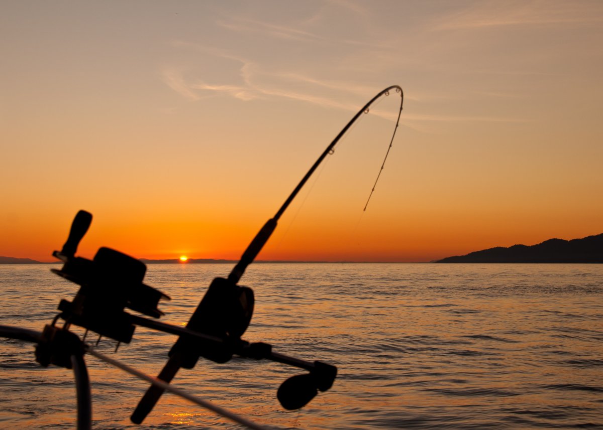 We fished right until the sun set past the mountains before pulling in the rods and heading back to Vancouver for dinner.