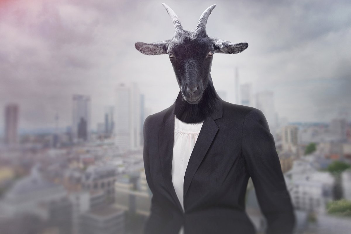 boss-stupid-business-woman-stockpack-pixabay.jpg boss, stupid, business woman