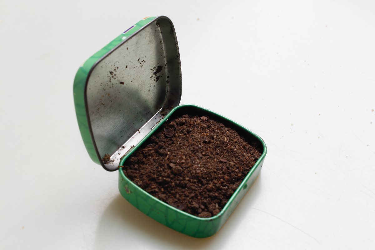 brown-soil-in-green-metal-box-stockpack-unsplash.jpg brown soil in green metal box
