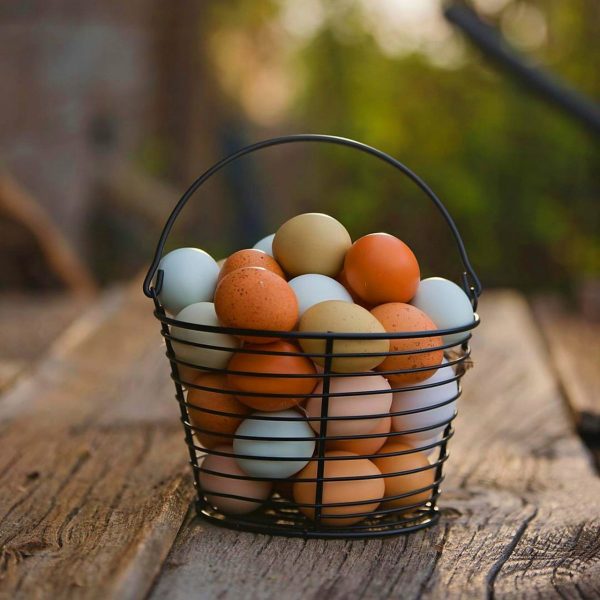 eggs, basket, bowl