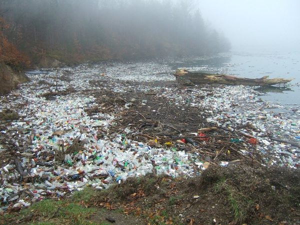 environmental pollution, drina, plastic waste