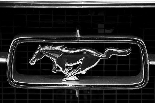 ford mustang, ford, automobile