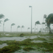 key-west-florida-hurricane-dennis-stockpack-pixabay.jpg key west, florida, hurricane dennis