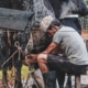 man-sitting-on-stool-milking-cattle-stockpack-unsplash.jpg man sitting on stool milking cattle