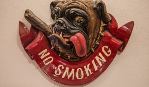 no smoking, bulldog, sign