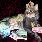 silver, cat, richness