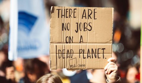 THERE ARE NO JOBS ON A DEAD PLANET. Global climate change strike - No Planet B - Global Climate Strike 09-20-2019