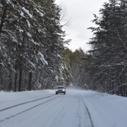 winter-snow-forest-stockpack-pixabay.jpg winter, snow, forest