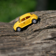 wood, summer, vw