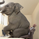 elephant Elephant