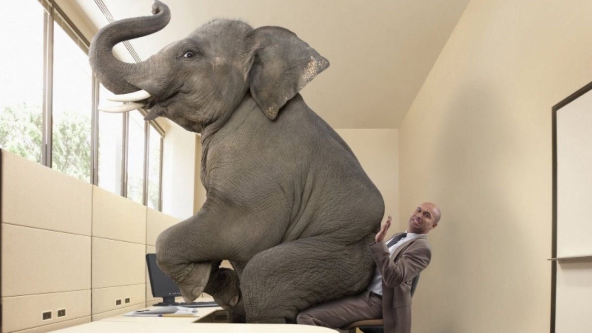 elephant Elephant