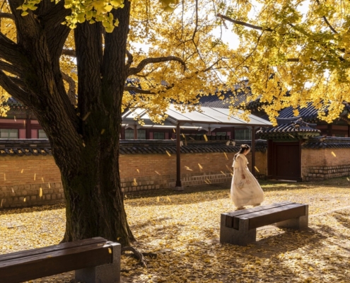 gyeongbok-palace-woman-autumn-stockpack-pixabay.jpg gyeongbok palace, woman, autumn